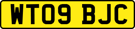 WT09BJC