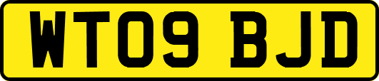 WT09BJD