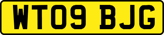 WT09BJG