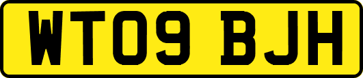 WT09BJH