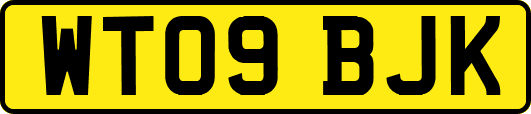 WT09BJK
