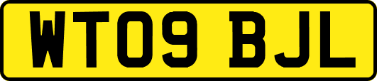WT09BJL