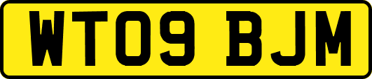 WT09BJM