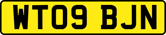 WT09BJN