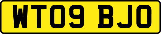WT09BJO