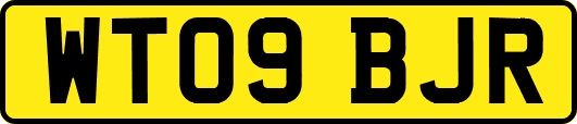 WT09BJR