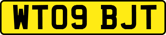 WT09BJT