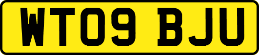 WT09BJU