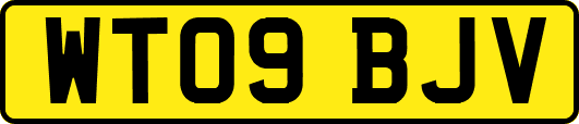 WT09BJV