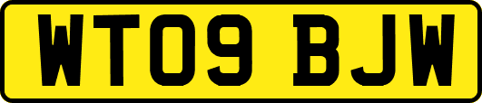 WT09BJW