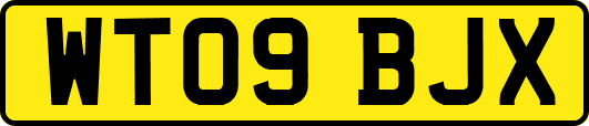 WT09BJX