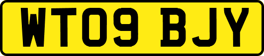 WT09BJY