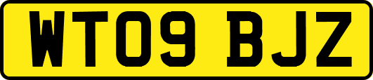 WT09BJZ