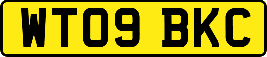 WT09BKC