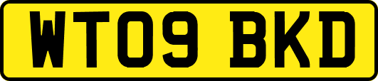 WT09BKD