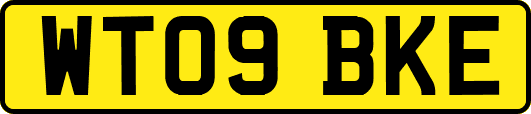 WT09BKE