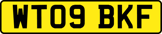 WT09BKF