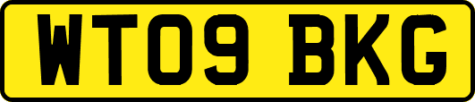 WT09BKG