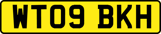 WT09BKH