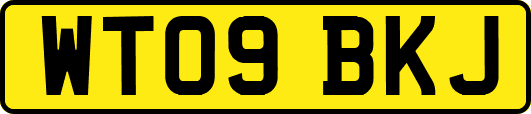 WT09BKJ