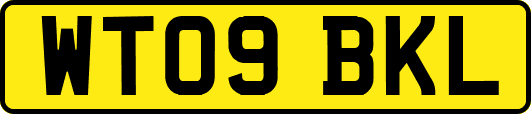 WT09BKL