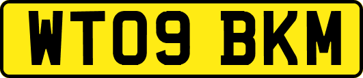WT09BKM