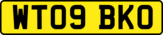 WT09BKO