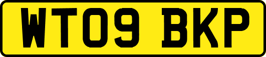 WT09BKP
