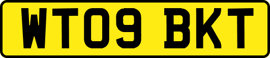 WT09BKT