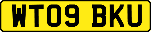 WT09BKU