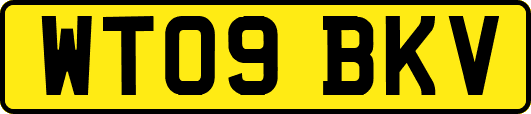 WT09BKV