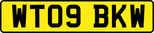 WT09BKW
