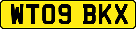 WT09BKX