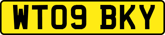 WT09BKY