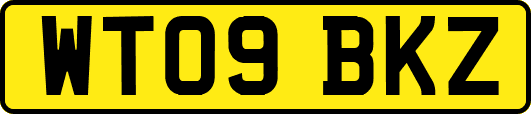 WT09BKZ
