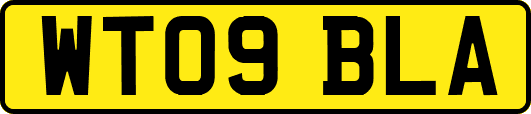 WT09BLA