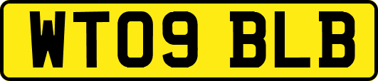 WT09BLB