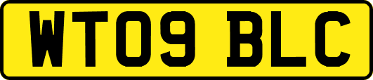 WT09BLC