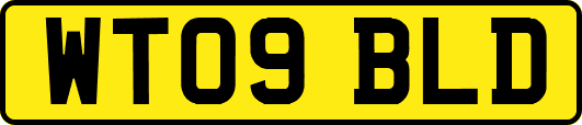 WT09BLD