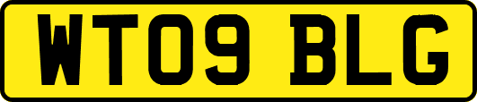 WT09BLG