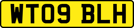 WT09BLH