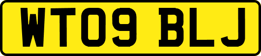 WT09BLJ