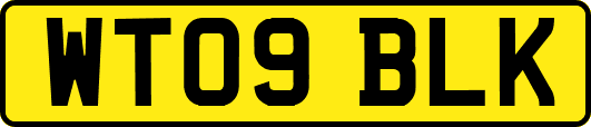 WT09BLK