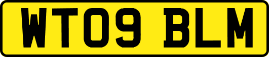 WT09BLM
