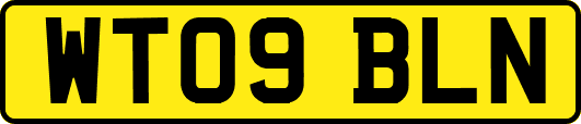 WT09BLN