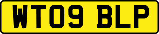 WT09BLP