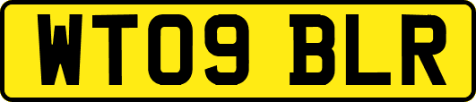 WT09BLR