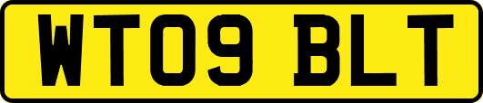 WT09BLT