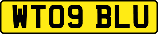 WT09BLU