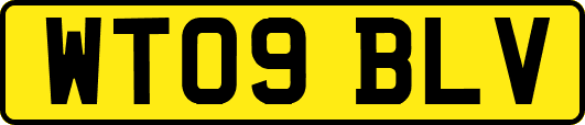 WT09BLV